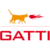 Gatti carburanti