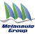 Metanauto Group